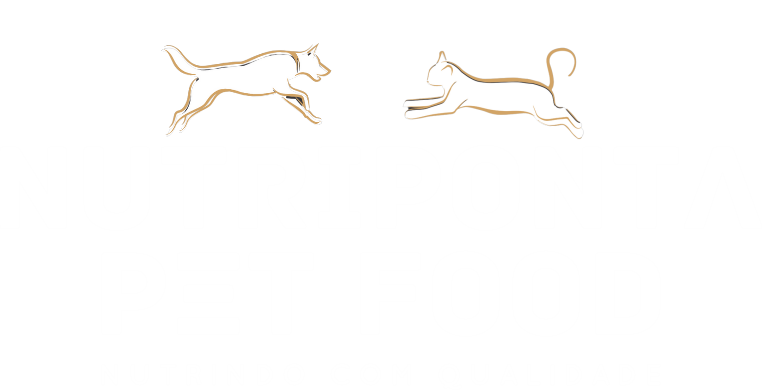 Nutriponta – Blog