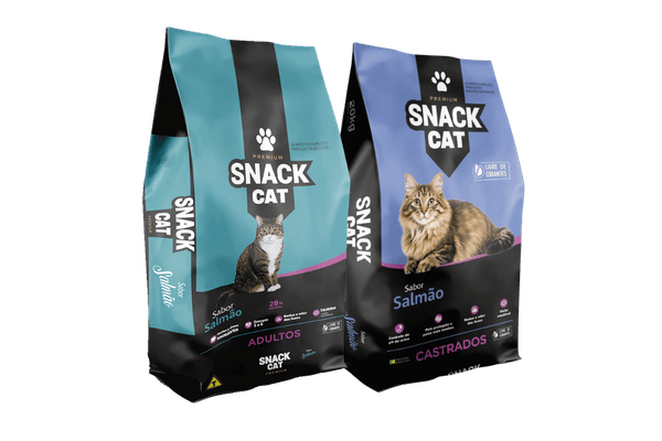 Snack Cat 600x400 1